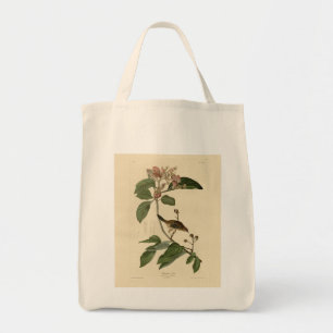 Bachmans fink (Sparrow) Audubon Birds of America Tygkasse