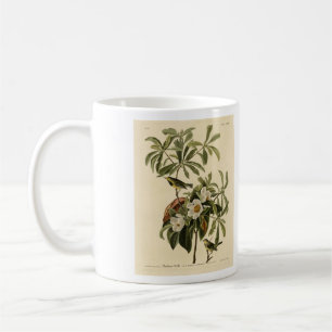 Bachmans Warbler, från Audubon's Birds of America Kaffemugg