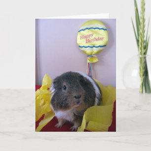 Bacis Birthday Önskemål Kort