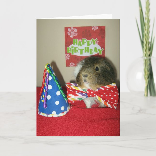 Bacis Födelsedagsfest Kort (Framsida)