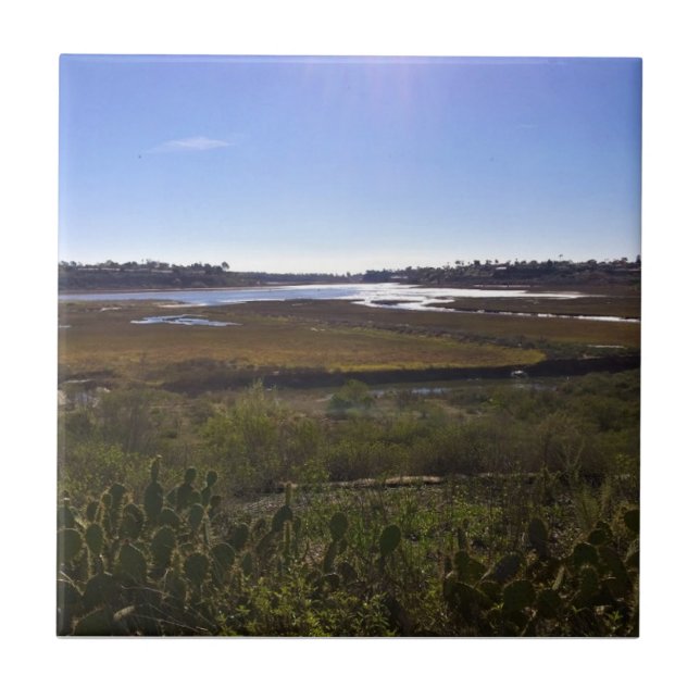 Back Bay, Newport Beach, Kalifornien Kakelplatta (Framsidan)