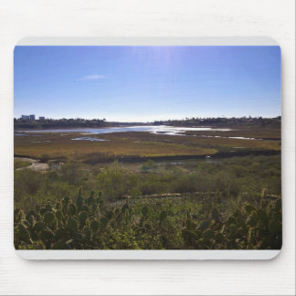 Back Bay, Newport Beach, Kalifornien Musmatta