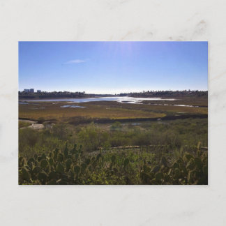 Back Bay, Newport Beach, Kalifornien Vykort