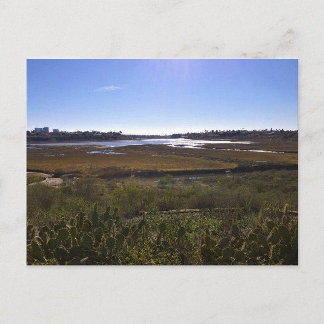 Back Bay, Newport Beach, Kalifornien Vykort (Framsida)