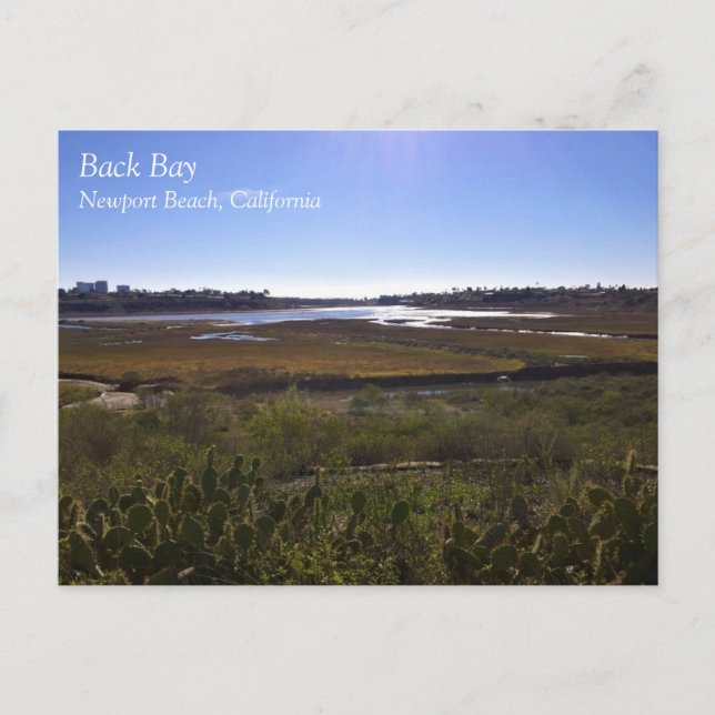 Back Bay, Newport Beach, Kalifornien Vykort (Framsida)
