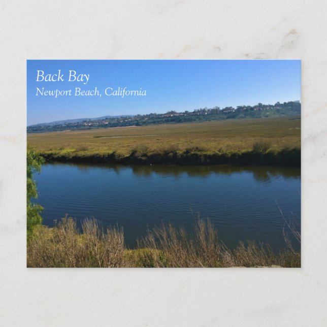 Back Bay, Newport Beach, Kalifornien Vykort (Framsida)