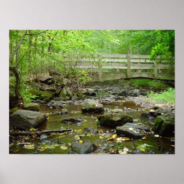Bäck Bridge-skog Poster (Framsidan)