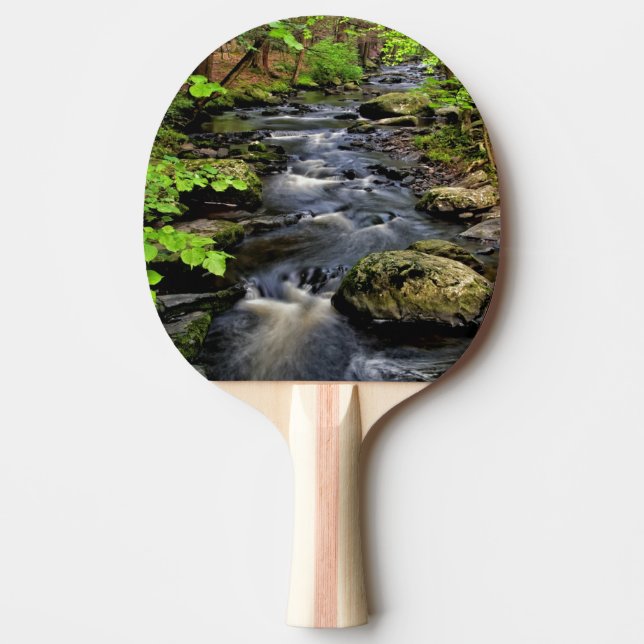 Bäck flyter genom skog pingisracket (Framsidan)