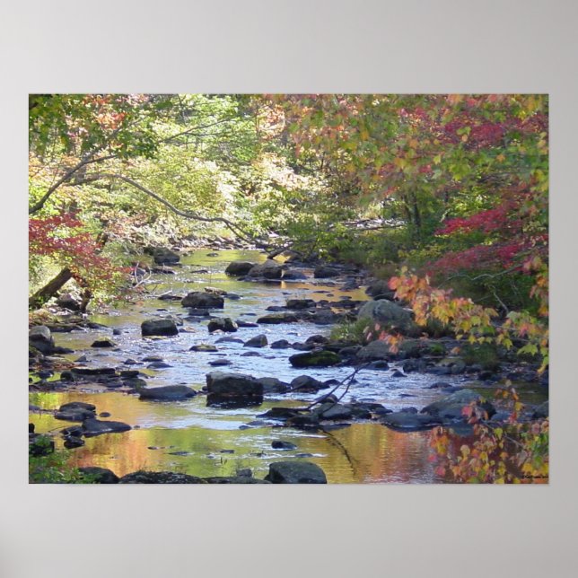 Bäck i Connecticut Poster (Framsidan)