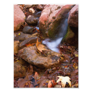 Bäck i Payson, Arizona Fototryck