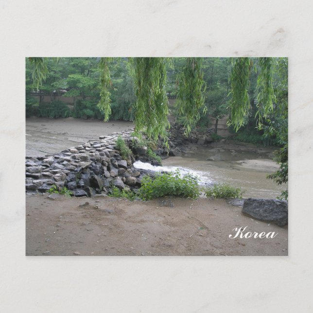Bäck i Sydkorea Vykort (Framsida)