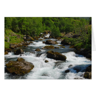 Bäck-kort för vild hälsningskort