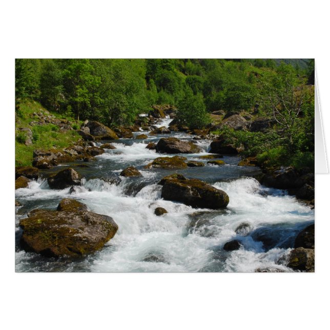Bäck-kort för vild hälsningskort (Framsidan Horizontal)