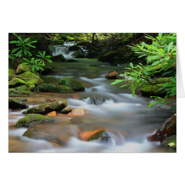 Bäck-kort Hälsningskort (Framsidan Horizontal)