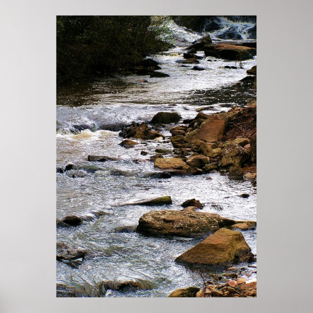 Bäck Poster (Framsidan)