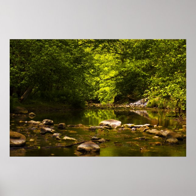 Bäck Poster (Framsidan)