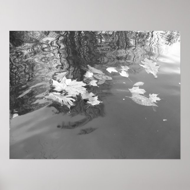 Bäck Poster (Framsidan)