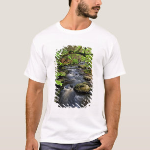 Bäck rinner genom skog tröja