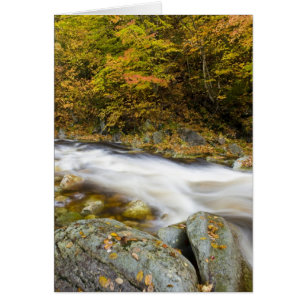 Bäck Roaring Brook på hösten i Vermonts Green Hälsningskort