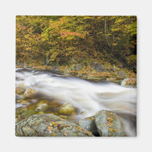 Bäck Roaring Brook under hösten i Vermonts Green Magnet