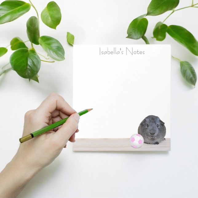 Back to school Guineas Rosa Oceanen Ball Anpassnin Anteckningsblock (Cute custom sticky notes)