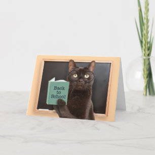 back to school Katt Reading Bok Humor  Helgkort