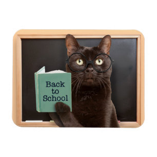 Back to school Katt Reading Bok Humor Magnet