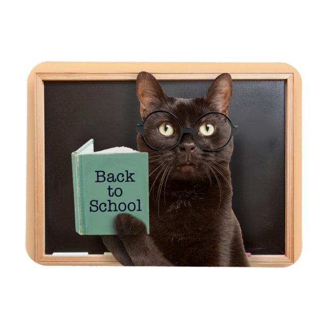 Back to school Katt Reading Bok Humor Magnet (Horisontell)