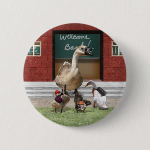 Back to school, lilla Ankor! Knapp