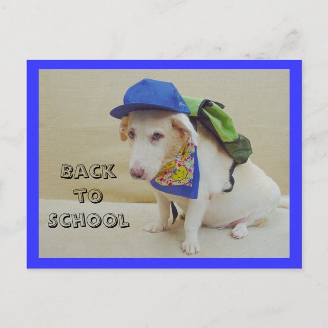 back to school vykort (Framsida)