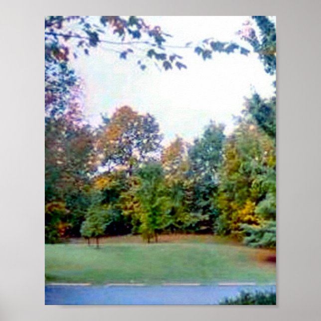 Back Yard Poster (Framsidan)