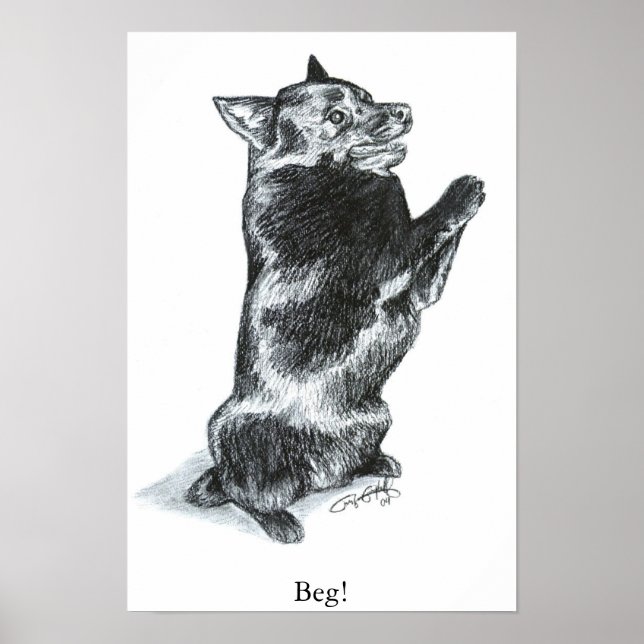 Backa! Poster (Framsidan)