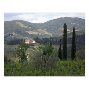 Backar av Chianti Fototryck