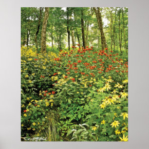Backarna är vid liv med vildblommar poster