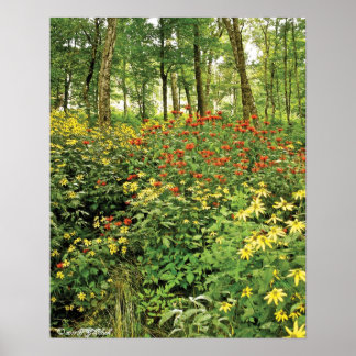 Backe är levande med Wildblommor Poster