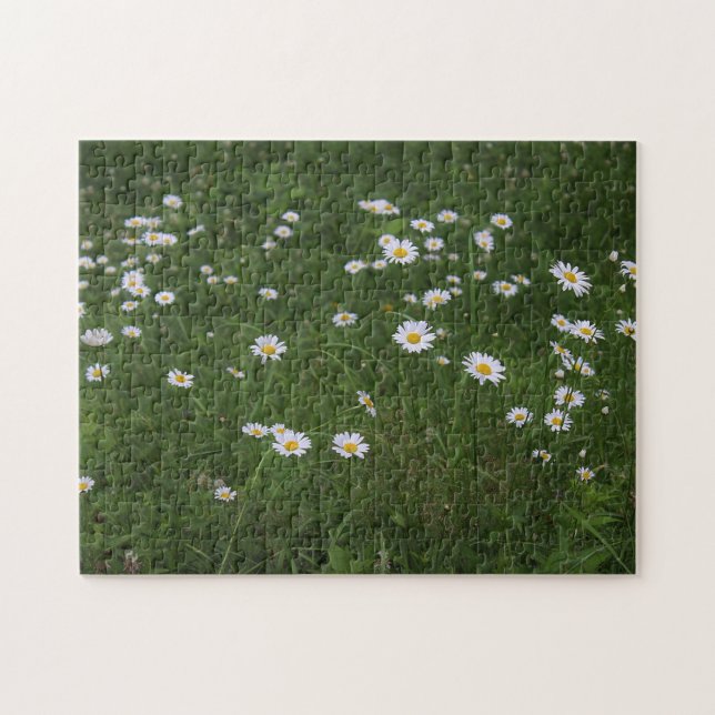 Backe av daisy pussel (Horisontell)