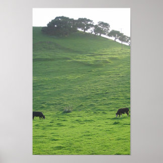 Backe den 227 poster