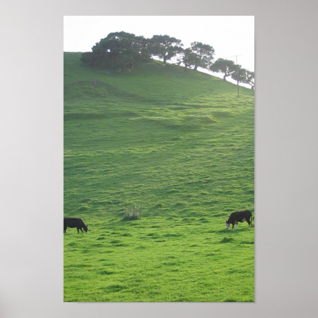 Backe den 227 poster (Framsidan)