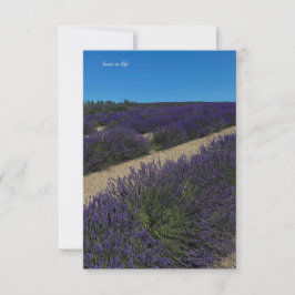 Backe i lavenderrader anteckningskort