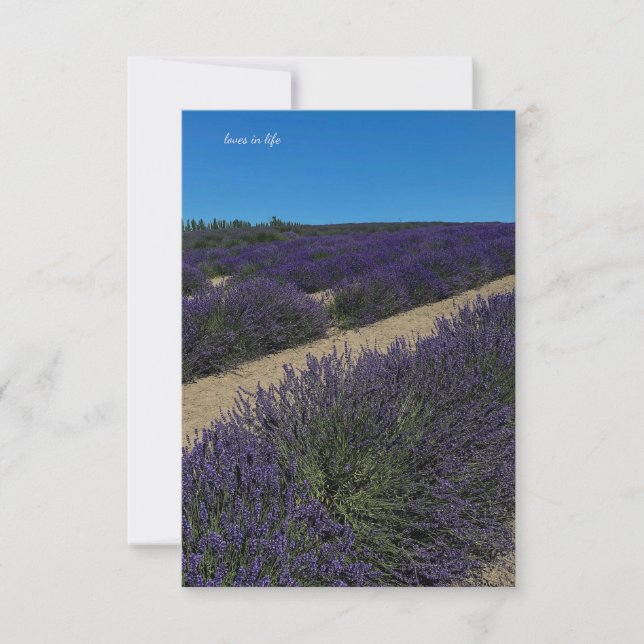 Backe i lavenderrader anteckningskort (Framsida)