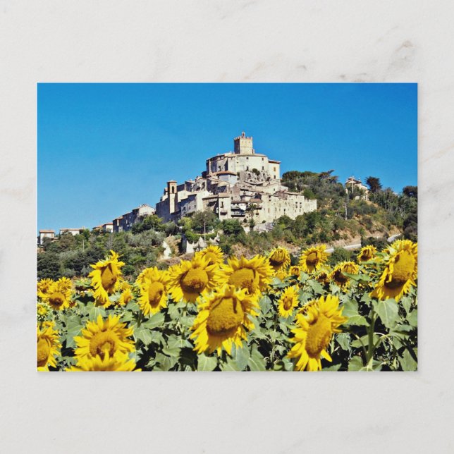 Backe stad Narni, Umbrien, Italien blommor Vykort (Framsida)