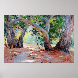 Backe - Sunshine Shadow Orange County Park Poster
