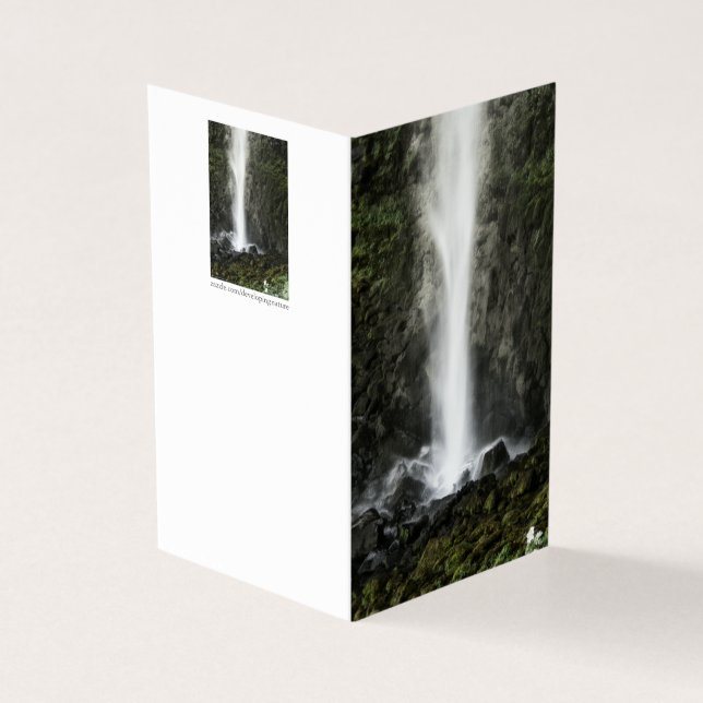 Bäckenets anda kort (Utsida)