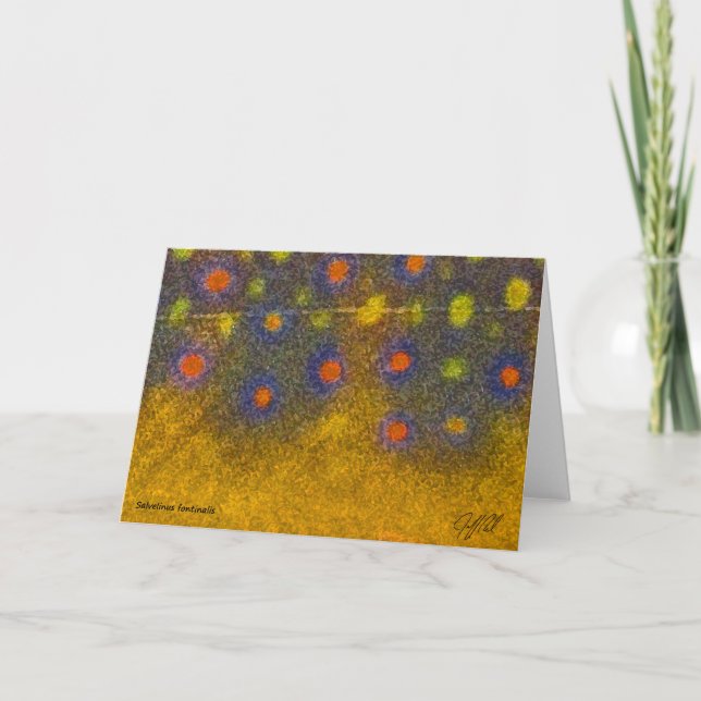 Bäckforell - kort (Framsida)