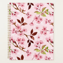 Background Cherry Blommar Rosa Background