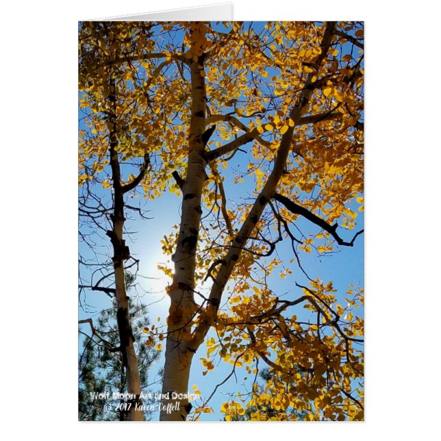 Backlit Aspen Träd Fall Foliage Blå himmel Arizona Hälsningskort (Framsidan)