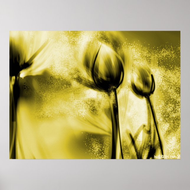 Backlit Dandelions in Antique Poster (Framsidan)