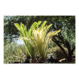 Backlit handflatan fototryck