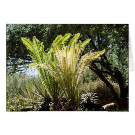 Backlit handflatan hälsningskort