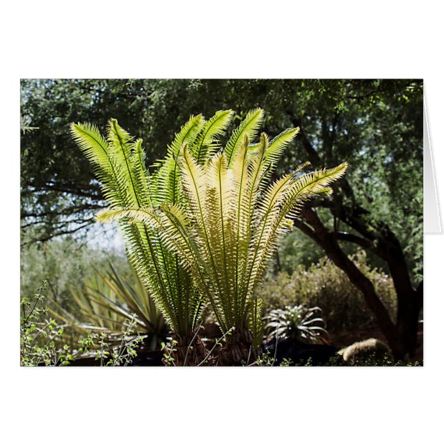 Backlit handflatan hälsningskort (Framsidan Horizontal)